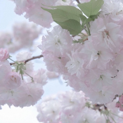 蓟州福瑞交流群